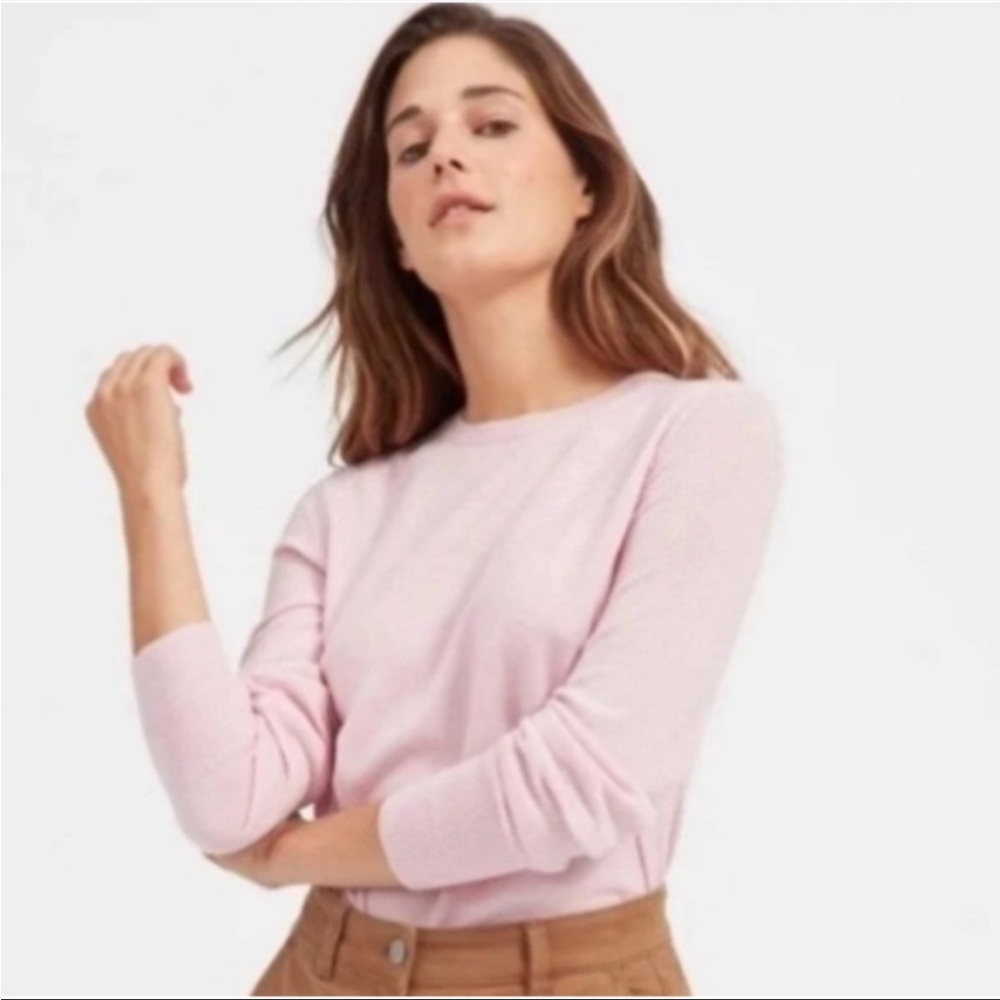 Everlane Cashmere Crewneck Sweater
